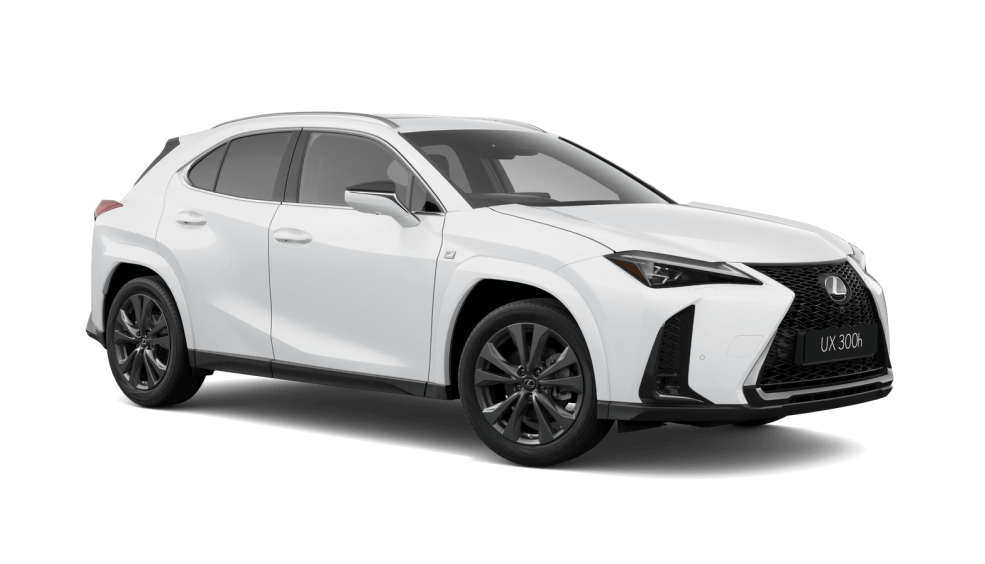 Lexus UX 300h AWD F Sport grade