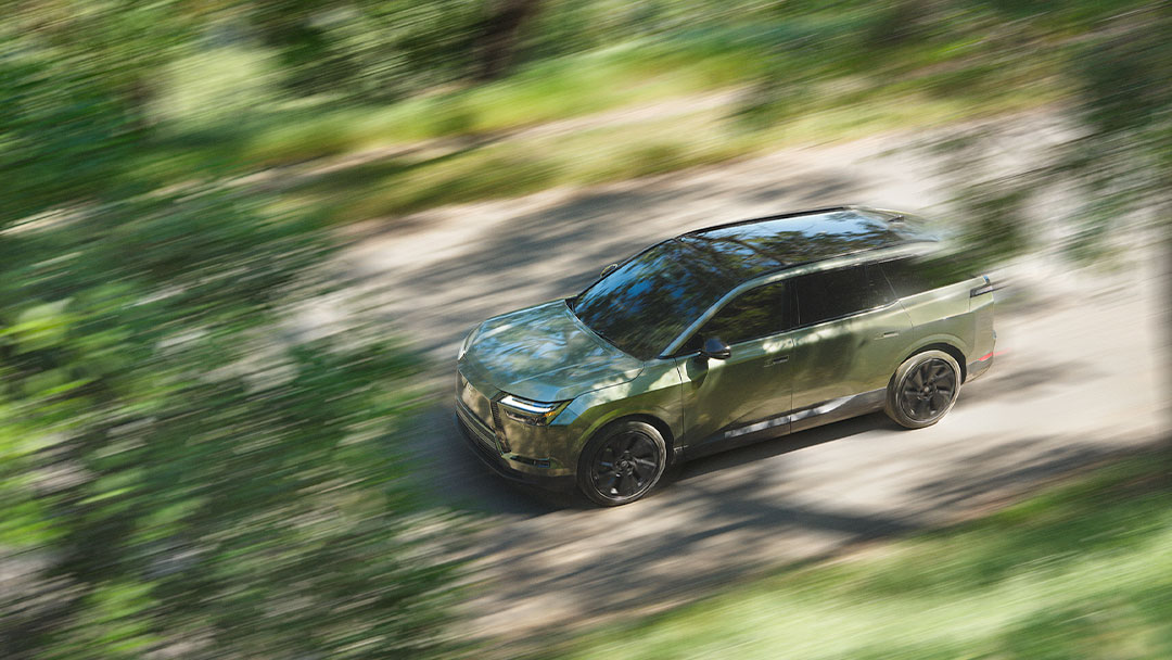 Lexus TZ driving underneath some leaves